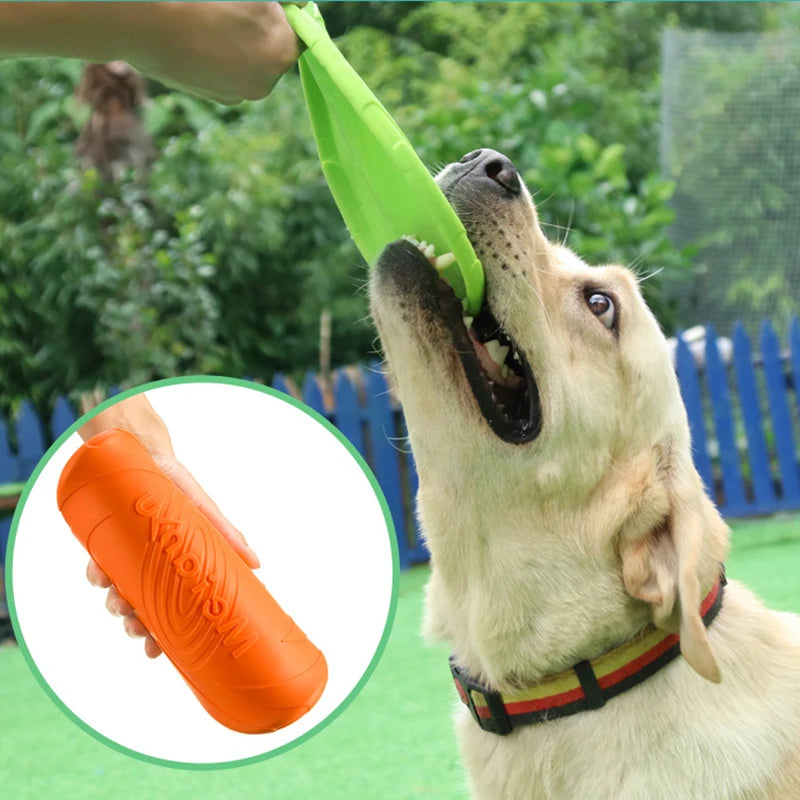 Frisbee souple pour chien