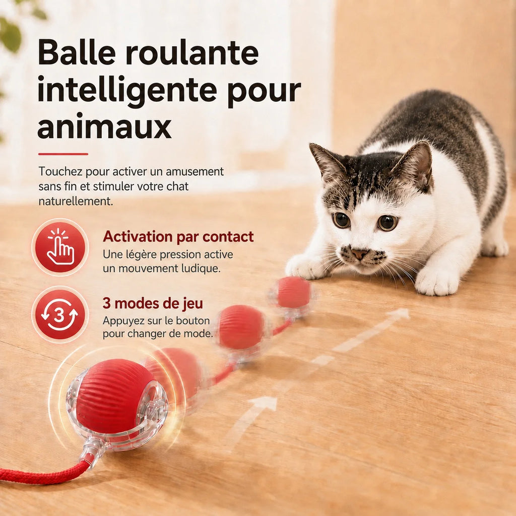 Balle roulante automatique pour chat