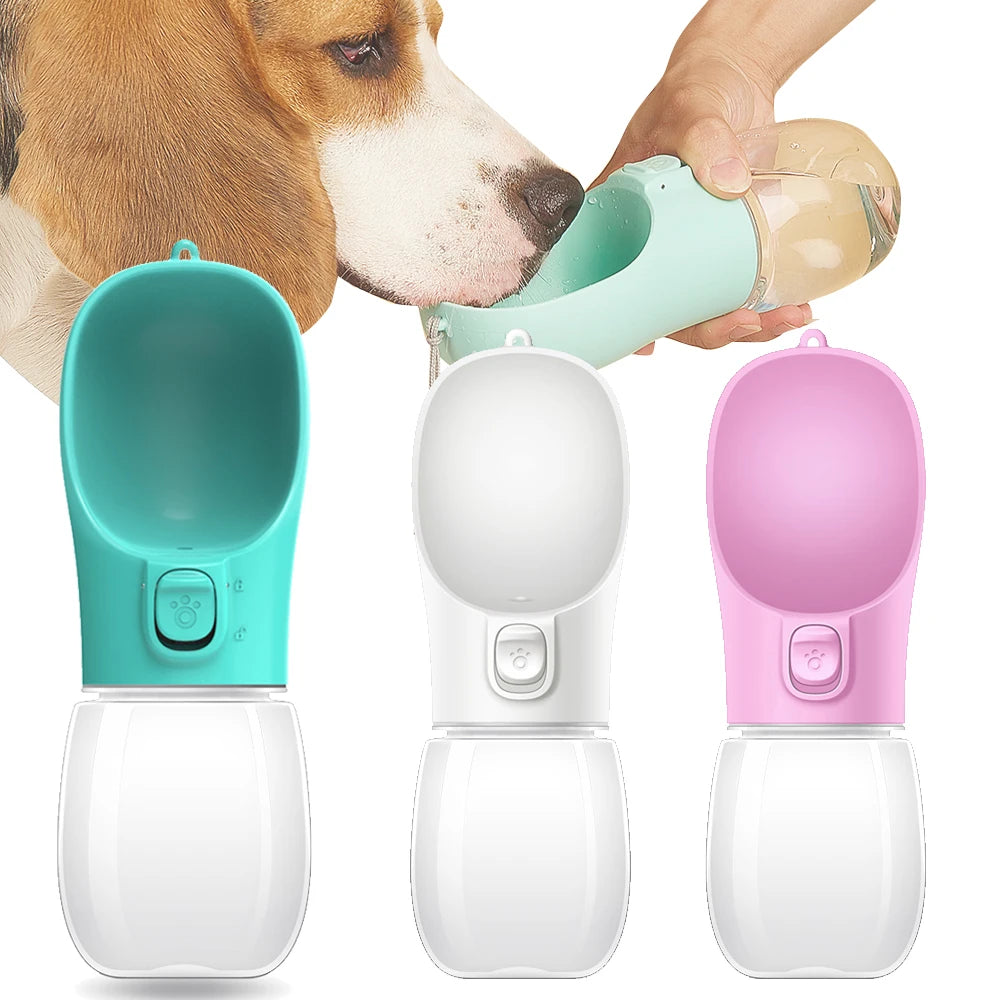 Gourde de balade pour chien