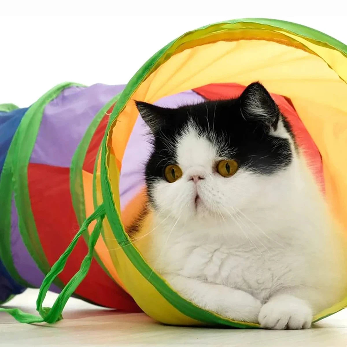Tunnel pliable pour chat