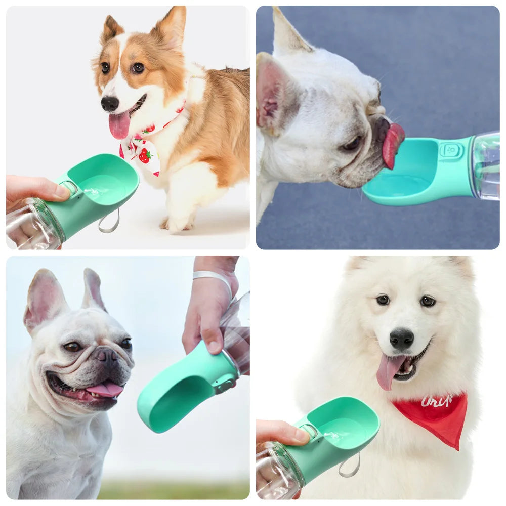 Gourde de balade pour chien