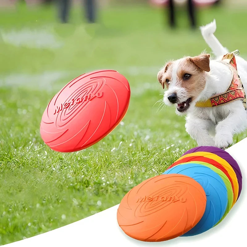 Frisbee souple pour chien