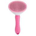 Brosse autonettoyante