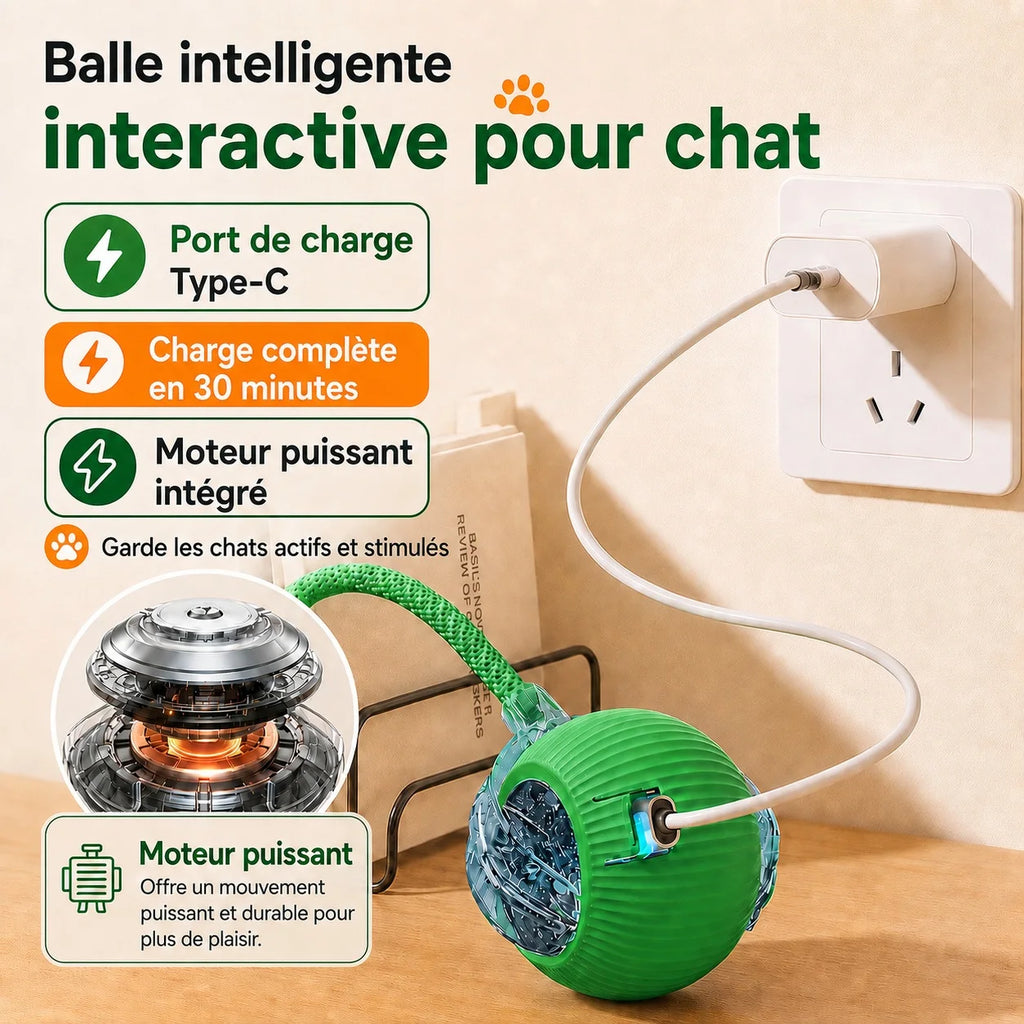 Balle roulante automatique pour chat