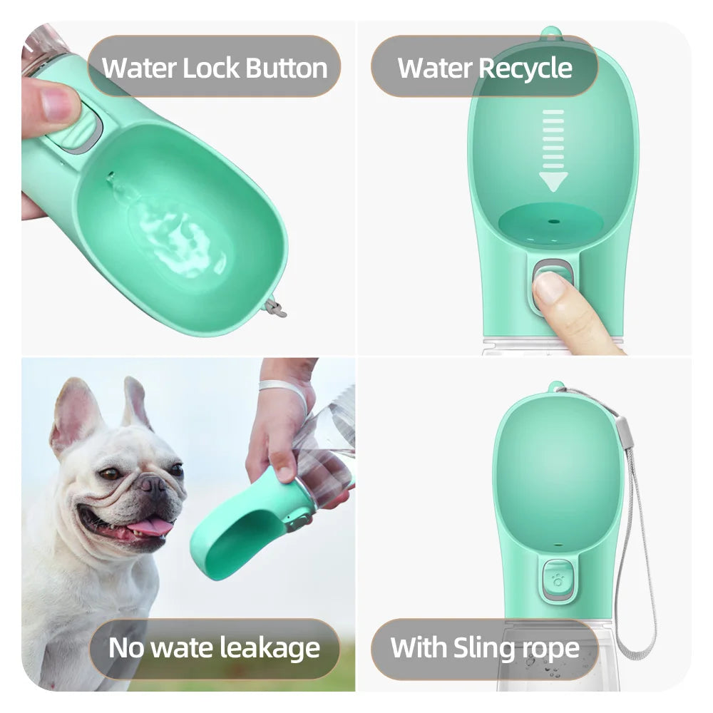 Gourde de balade pour chien