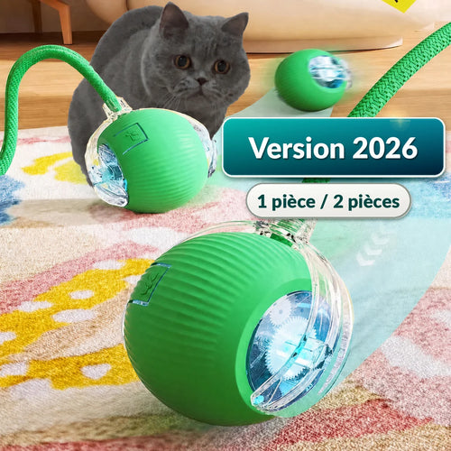 Balle roulante automatique pour chat