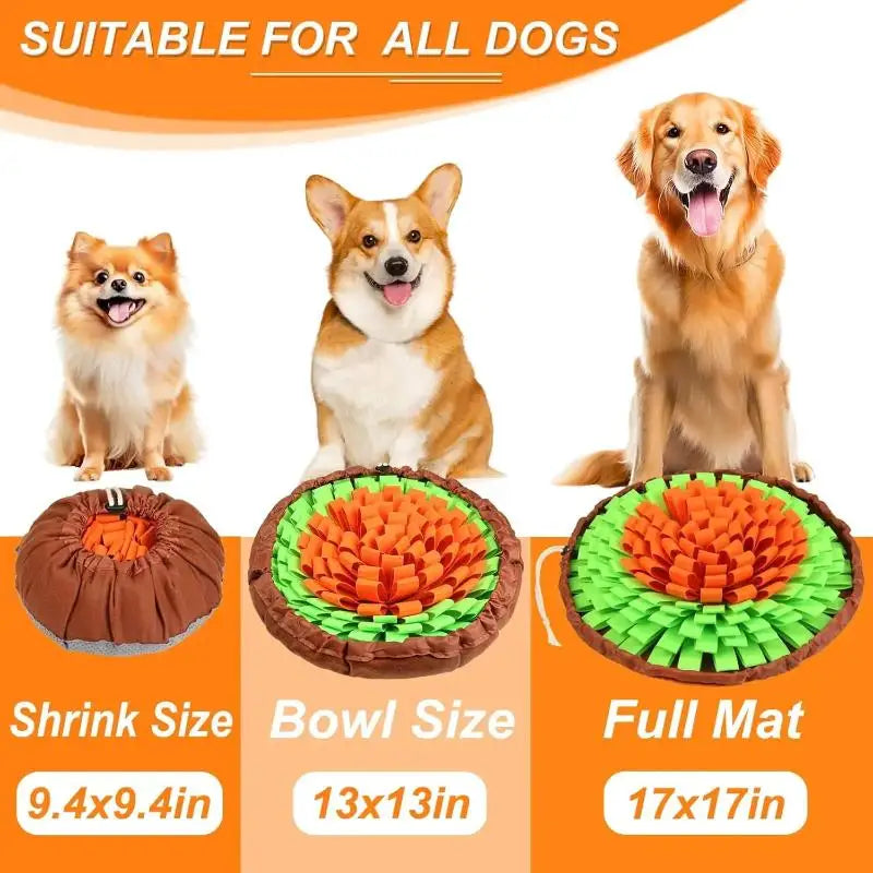 Tapis de fouille pour chien