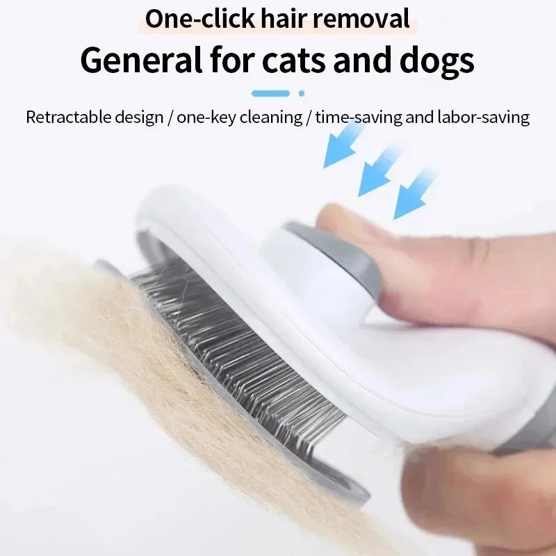 Brosse autonettoyante
