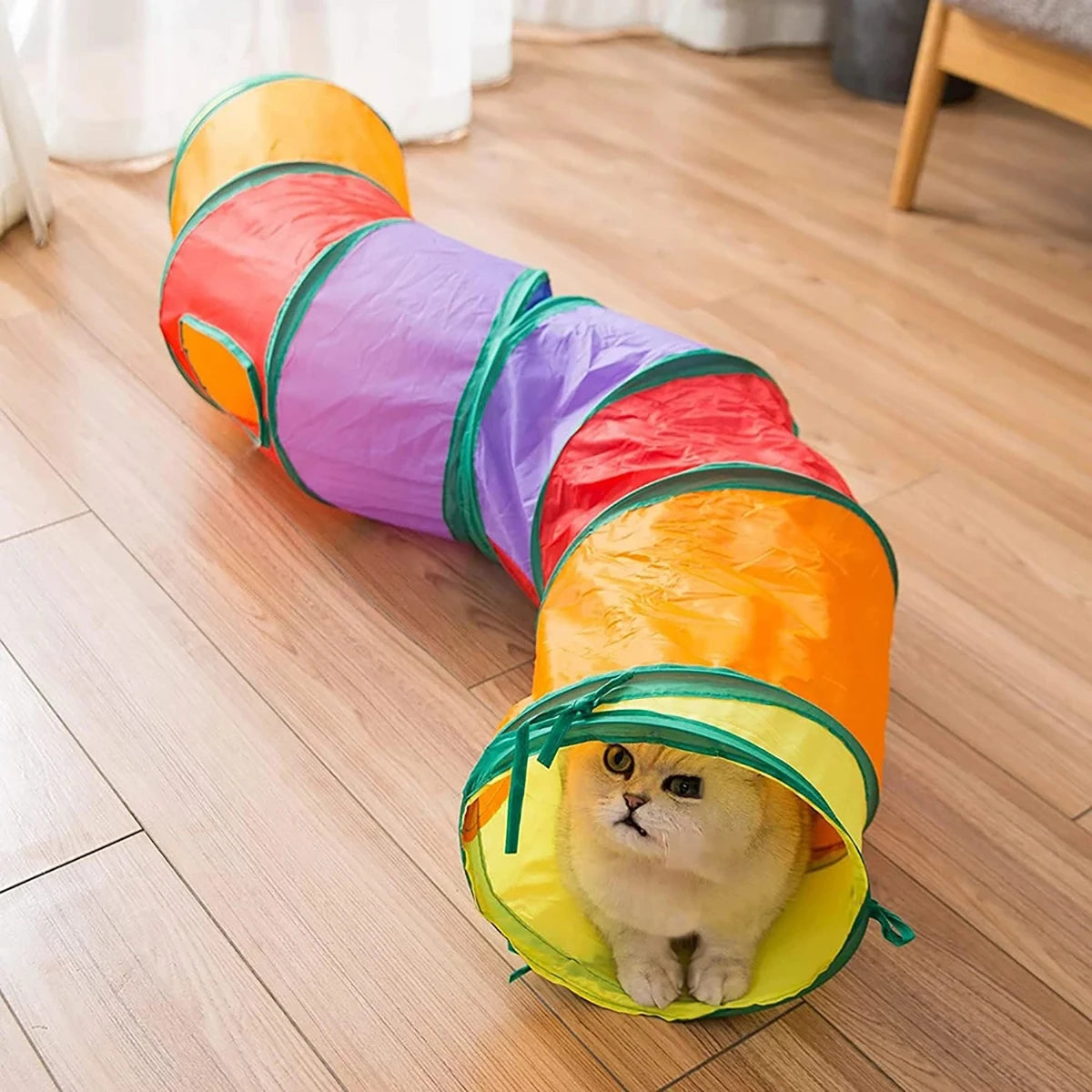 Tunnel pliable pour chat